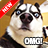 icon Funny Dog Pictures 1.8