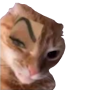 icon Sticker Memes