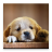 icon Audiobook: Puppy Care 44.0