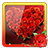 icon Rose Photo Frames 1.9