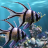 icon The real aquariumfree 2.34