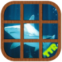 icon Sharks Sliding Jigsaw Puzzle