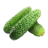 icon tj.agroinform.cucumber 1.4.8