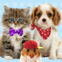 icon Talking cat. Talking puppy.