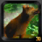 icon Real Wolf Revenge Simulator 3D 1.0