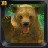icon Wild Bear Attack 3D Game 1.0.1
