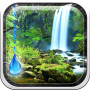 icon Rain Forest Live Wallpaper