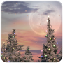 icon Snowfall Free