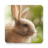 icon Cute Animals Live Wallpaper 1.0.7