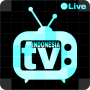 icon TV Indonesia Digital Lengkap