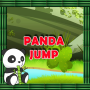 icon Super Panda Jump