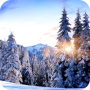 icon Winter Paradise Live Wallpaper