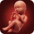 icon Pregnancy Calculator 3.7