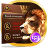 icon King 4K HD SMS Plus 1.0.14