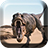 icon Dinosaurs Live Wallpaper 1.7