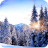 icon Winter Paradise Live Wallpaper 1.2.0