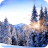 icon Winter Paradise Live Wallpaper 1.2.0