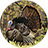 icon Turkey Calls 4.1