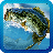 icon Fishing 1.1