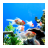 icon Aquarium HD 1.4.1-GOOGLE-PLAY