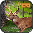 icon Jungle Animal Hunter VR 1.0