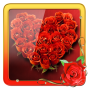 icon Rose Photo Frames
