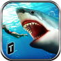 icon Angry Shark 2016