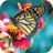 icon Butterfly Wallpapers 1.0