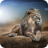 icon Lion Wallpaper 1.01
