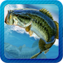 icon Fishing