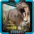 icon VR Cinema 2.4