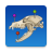 icon vet-Anatomy 4.4.2