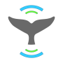 icon WhaleAlert
