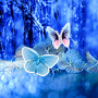 icon Butterflies Live Wallpaper