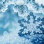 icon Winter Live Wallpaper