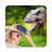 icon VR Videos 1.0.2