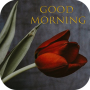 icon Good Morning Flowers GIFs GIF

