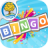 icon Bingo 4.0.1