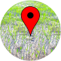 icon com.sisongkhram.gps4farmer