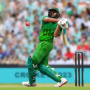 icon Cricket WorldCup Games 2024