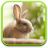 icon Cute Animals Live Wallpaper 1.0.4