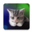 icon Sleepy Kitten Live Wallpaper 1.1.12