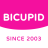 icon BiCupid 4.0.9