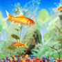 icon Aquarium Live Wallpapers