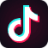 icon TikTok 38.4.3