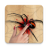 icon Spider Smasher 1.4